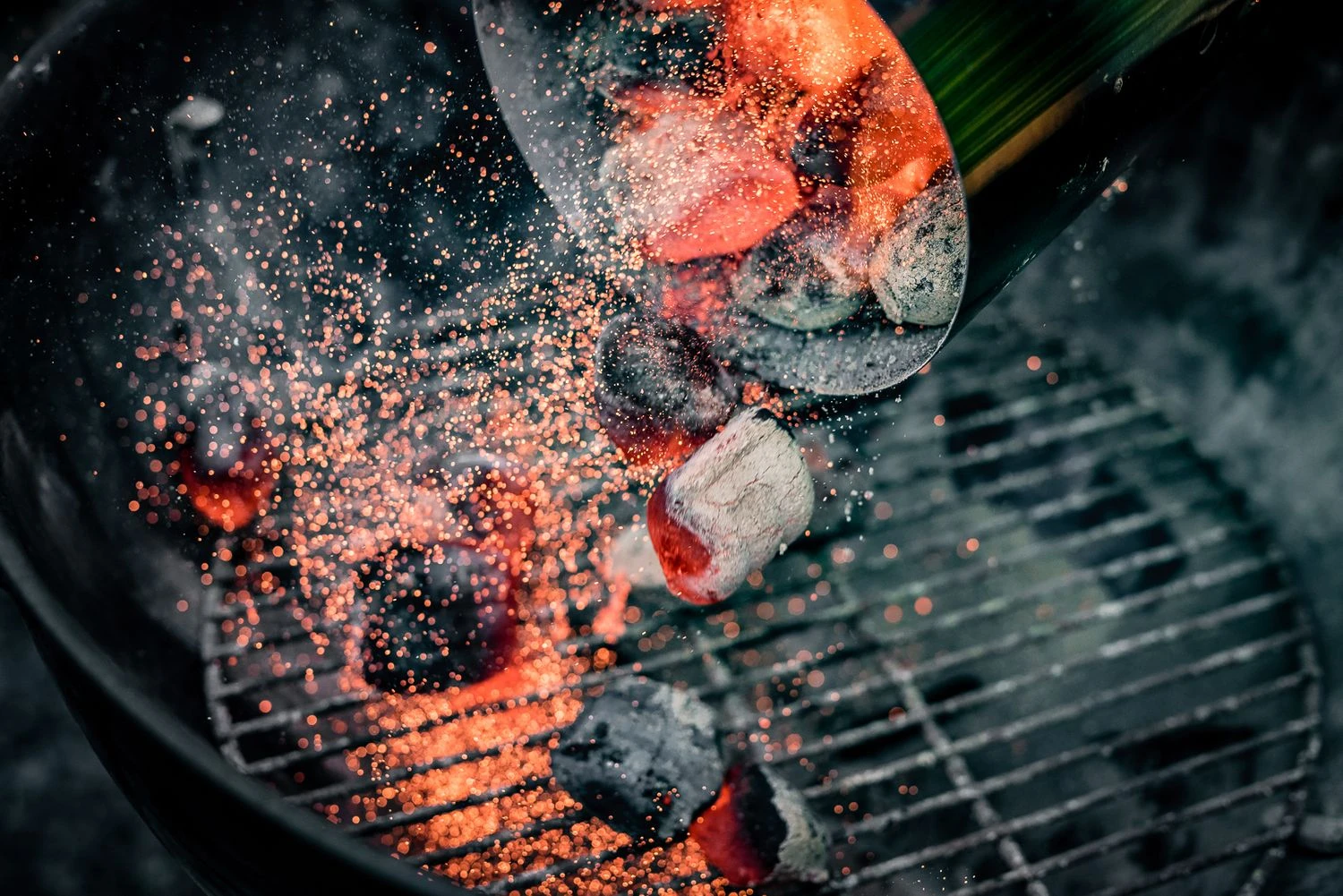 BlackSellig Beach Kokosbriketts 10 Kg – Bild 3