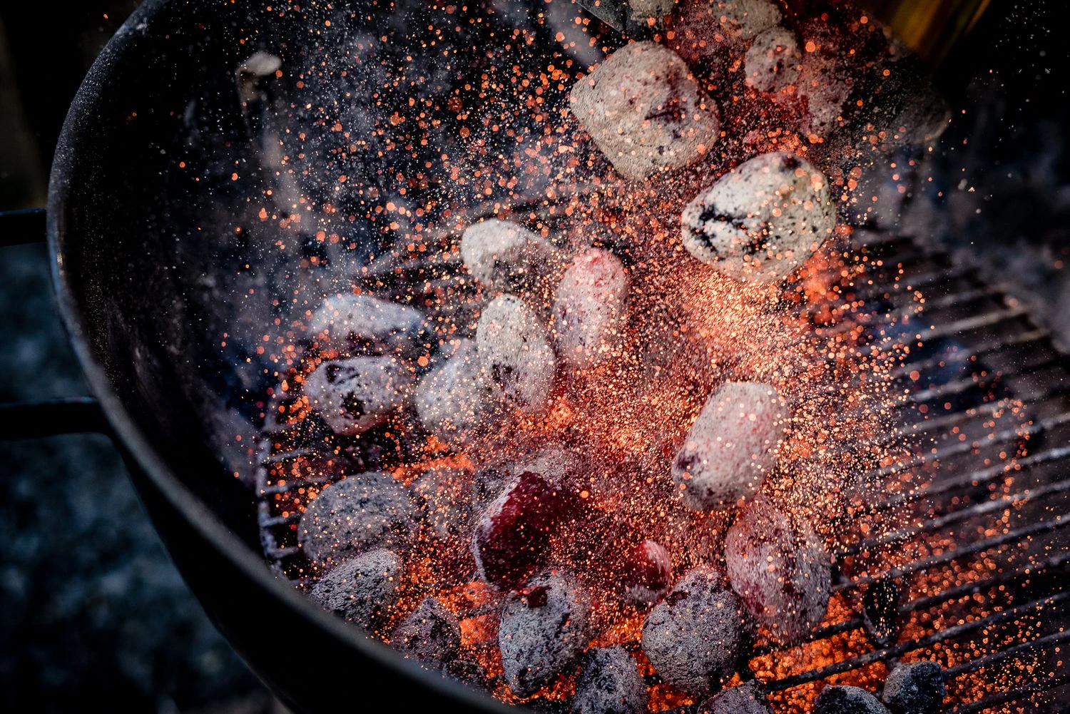 BlackSellig Beach Kokosbriketts 10 Kg – Bild 4