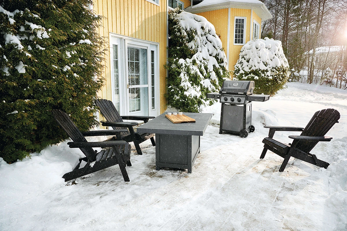 Napoleon Freestyle 365 Gasgrill, Graphit - Mit Seitenbrenner - Modell 2023 – Bild 20